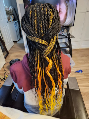Blonde-tipped braids tied into a ponytail.