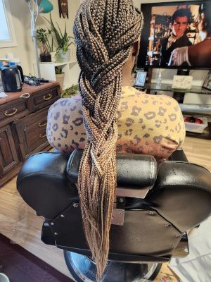 Long braids styled into a low fishtail braid.